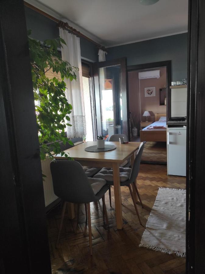 HostelChe Guest House Smederevo Extérieur photo