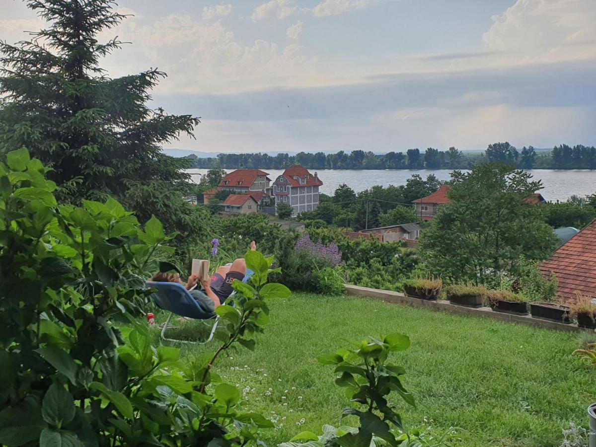 HostelChe Guest House Smederevo Extérieur photo